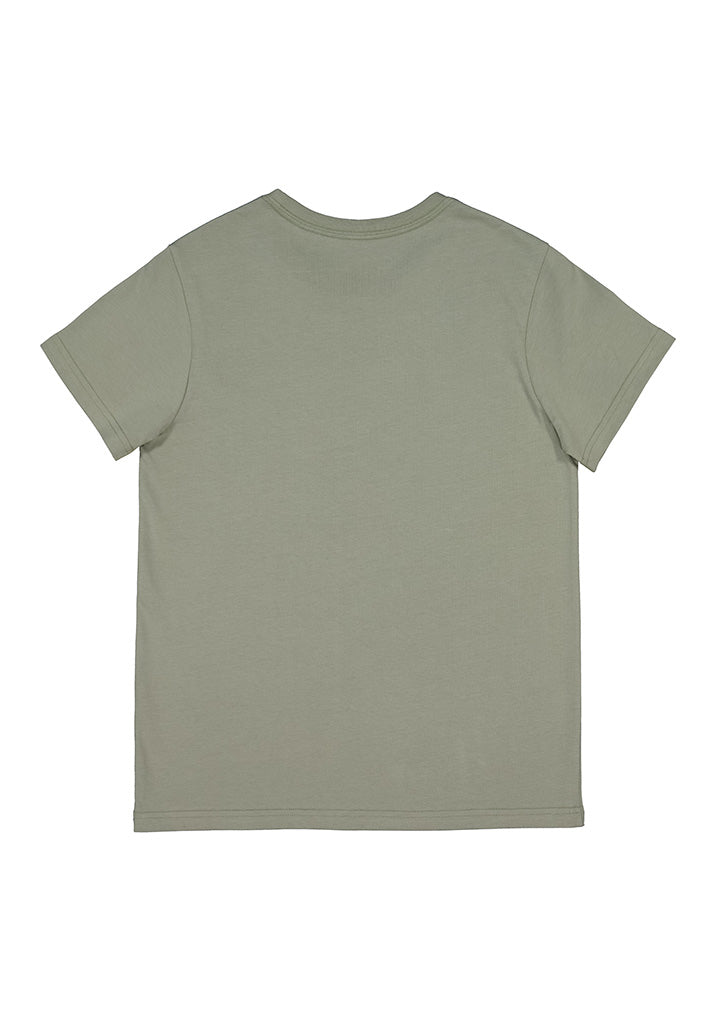 Womens Basis Short Sleeve Tee - Pistachio